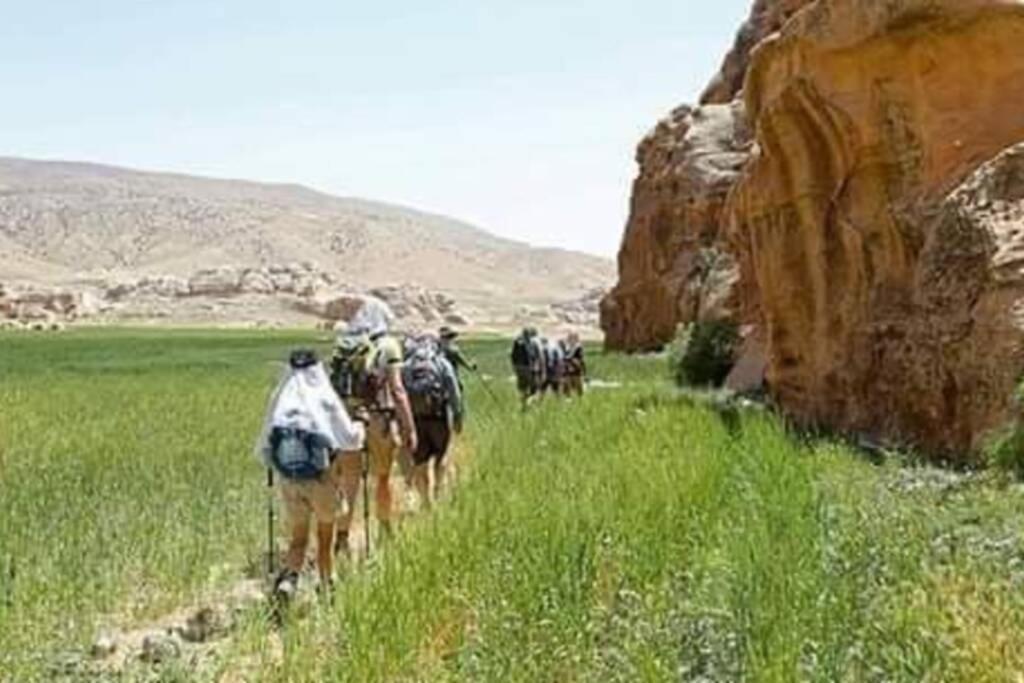 Bedouin Nature Travels Wadi Musa Eksteriør billede