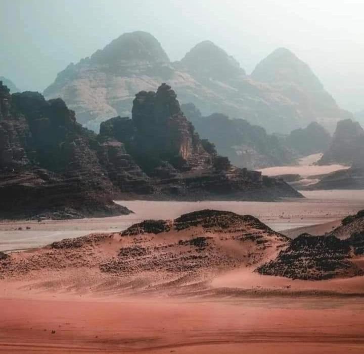Bedouin Nature Travels Wadi Musa Eksteriør billede